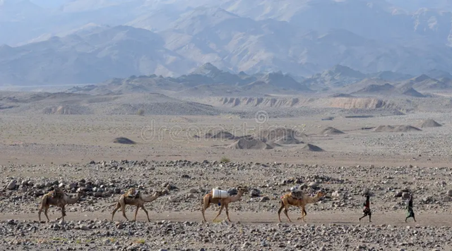 Cultural Preservation