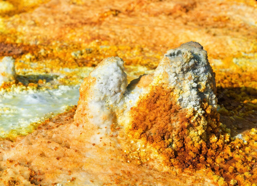 Traditional Craftsmanship Revival Program Launched